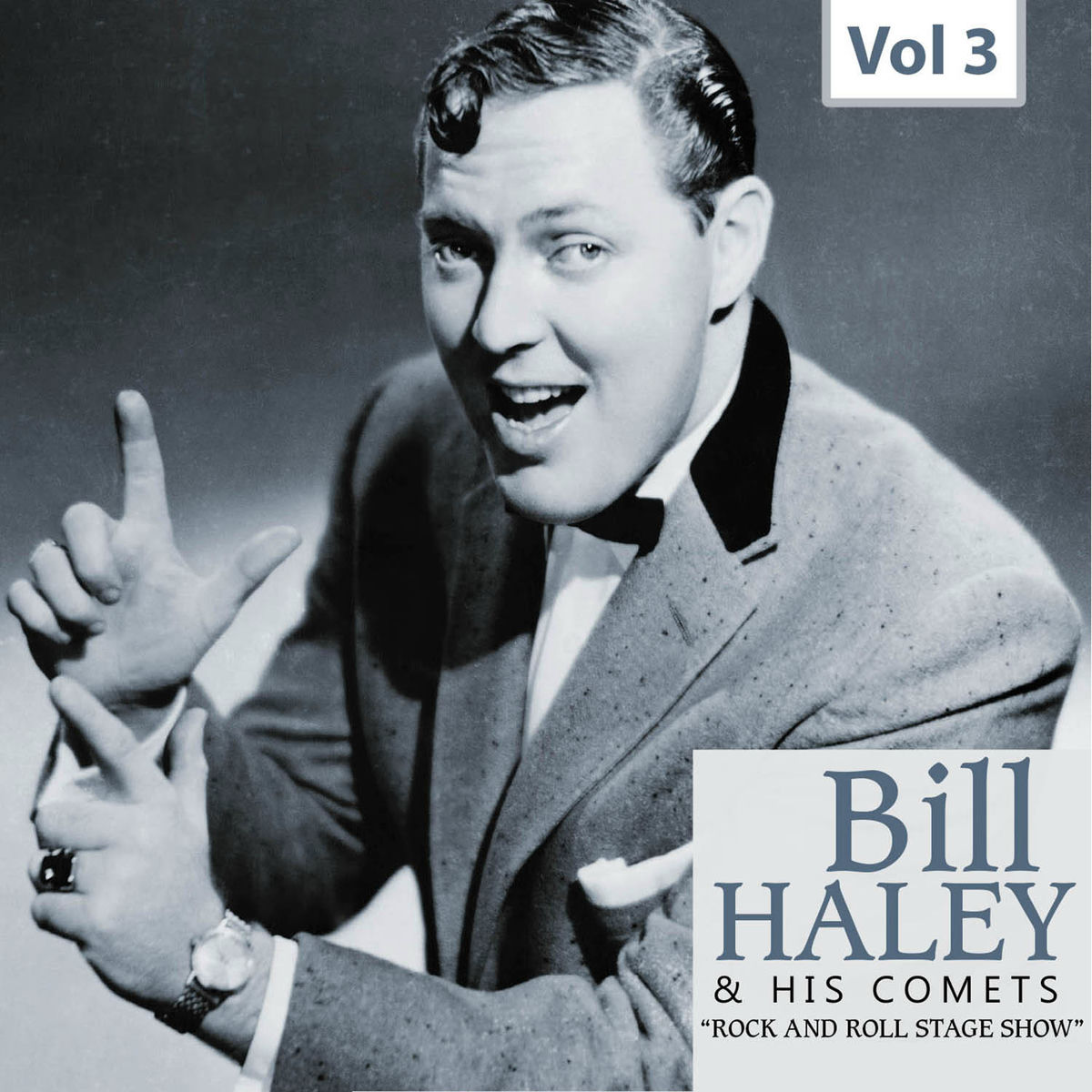 Bill Haley and His Comets